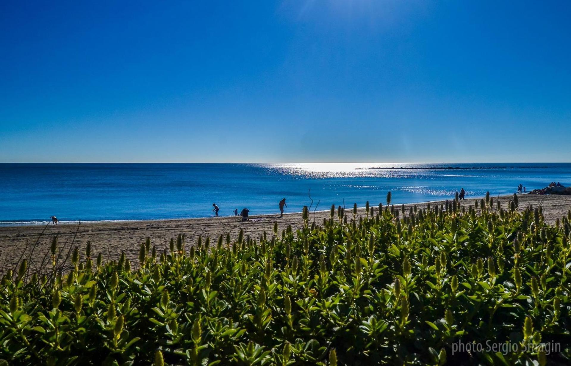 Apartamentos Los Cisnes - 2º Linea De Playa - Perfecta Ubicacion เบนัลมาเดนา ภายนอก รูปภาพ