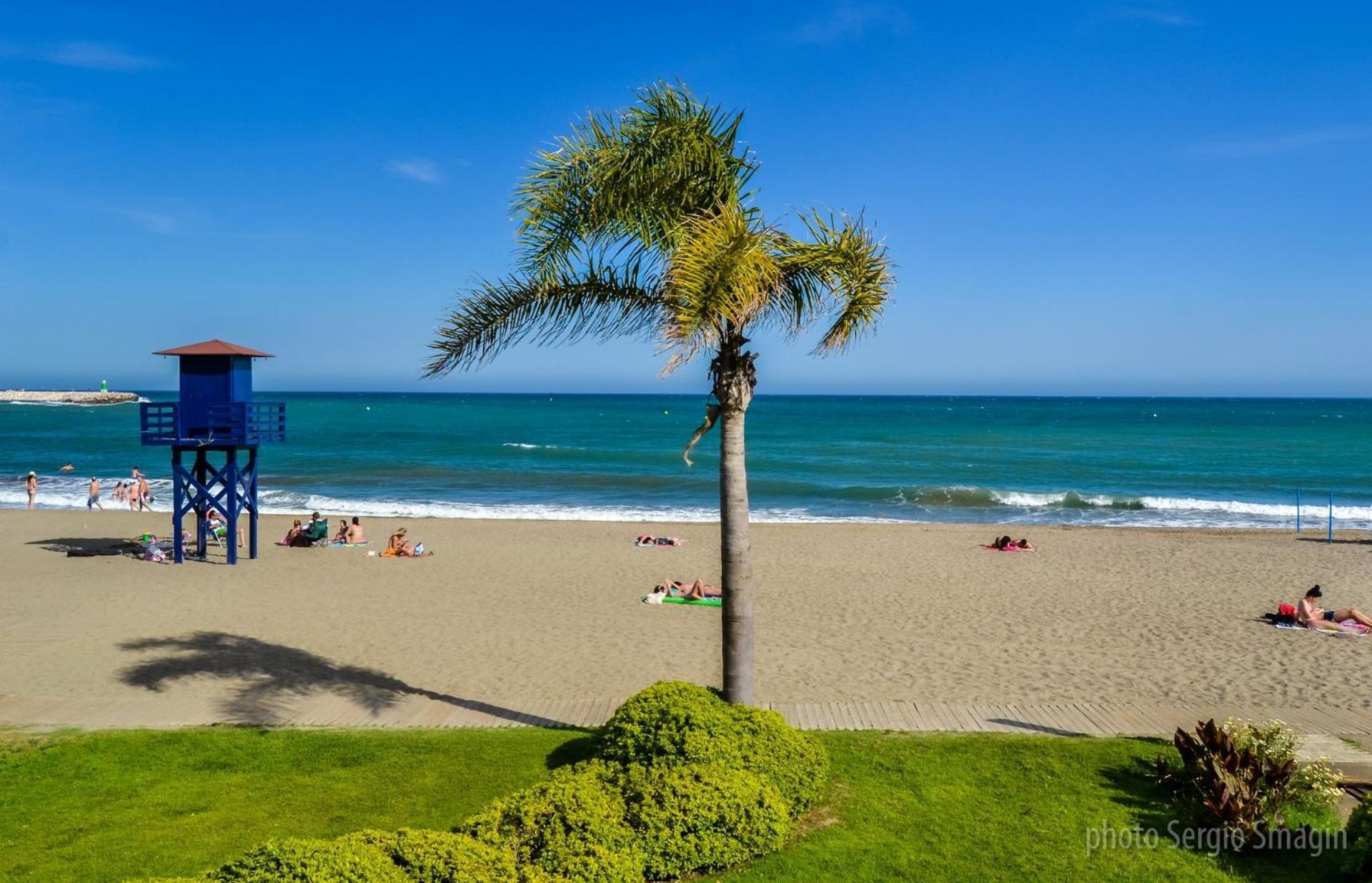 Apartamentos Los Cisnes - 2º Linea De Playa - Perfecta Ubicacion เบนัลมาเดนา ภายนอก รูปภาพ